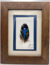 Almeida Panama Blue Toucan
