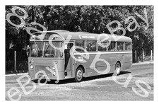 Bus Photograph HANTS & DORSET