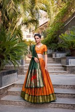 Party New Lehenga Indian