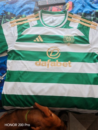 Green white hooped style - green,