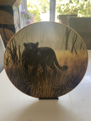 George collector plate - collector,