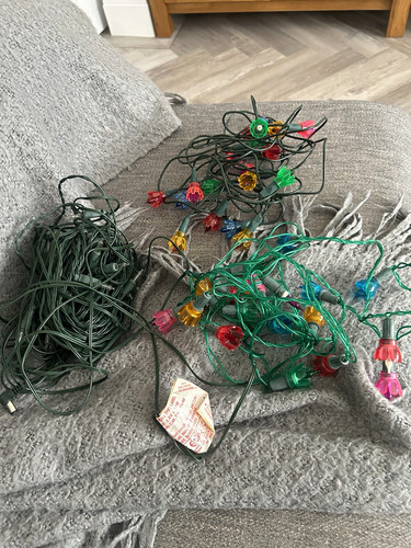 Christmas tree petal - christmas,