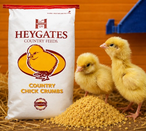 1kg heygates country chick - 1kg,