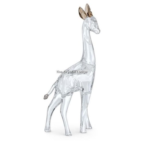 Swarovski african sunset nohea - swarovski,