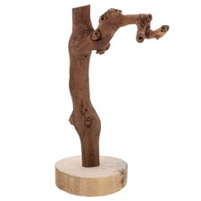  Bird Perch Standing Branch