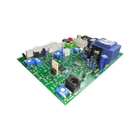 Ariston microgenus 27 28 - 27,