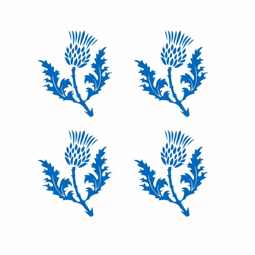 Set scotland thistle - of,