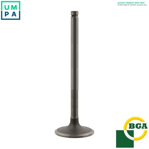 Exhaust valve v331036 - valve,