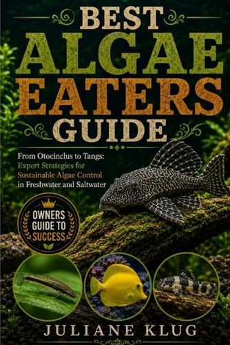 Best algae eaters guide from - best,