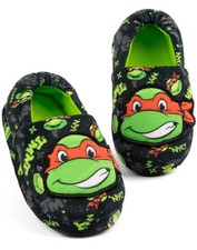 Teenage Mutant Ninja Turtles