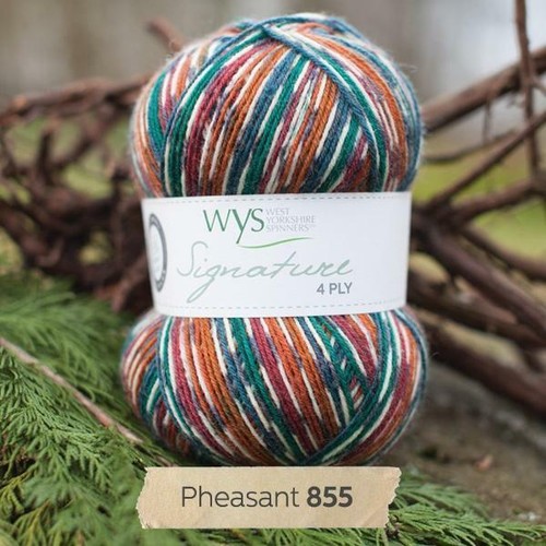 Wys signature ply - wys,