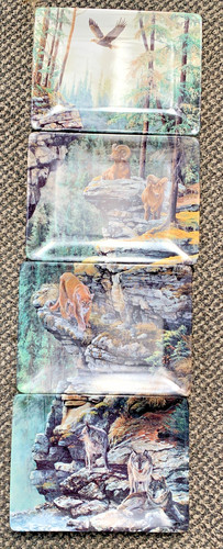 Set bradex cliff - 4,
