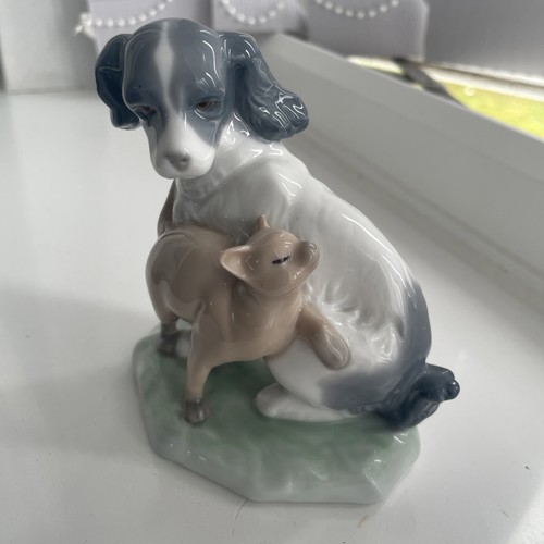 Dog cat harmony nao by - in,