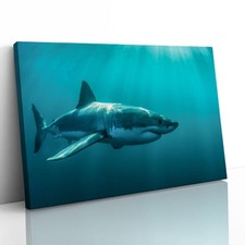 Great White Shark Jaws Canvas