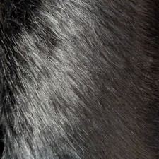 Black luxury premium - black, faux