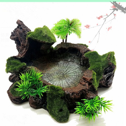 Reptile feeding bowl - bowl, plant