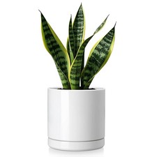 vancasso 1pc/3pc Ceramic Plant