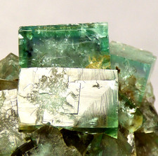 Gemmy Green Zoned Fluorite Cluster Heights Qu Weardale UK Mineral Specimen 5.5cm