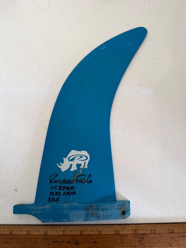 Rainbow rhino windsurfing - rhino,