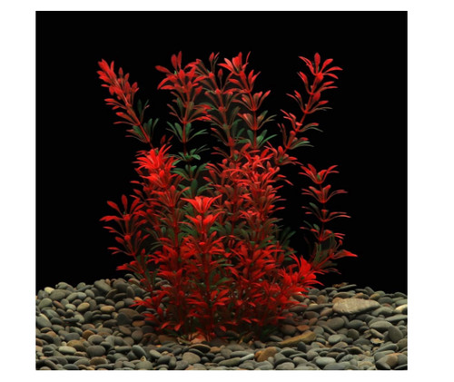 Lynko large aquarium - lynko, plants