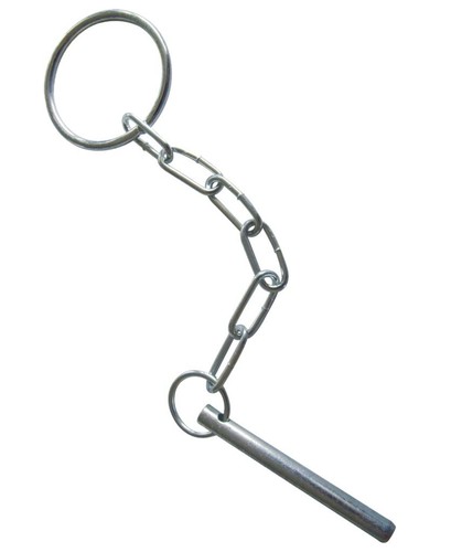 Tressle pin and chain - and,