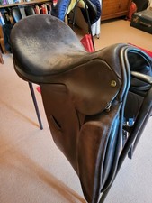 17"  Ideal Jessica Dressage