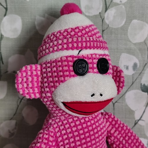 Beanie buddies socks the - socks,