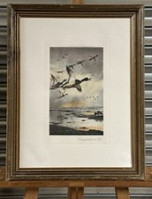 Lovely Antique Archibald Thorburn Engraving Of Ducks ‘ Coming In From The Sea’