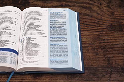 Niv quest study bible - quest,