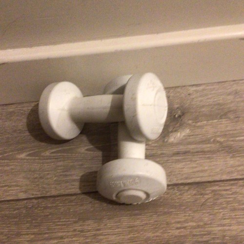 White fixed weight dumbbells - fixed,