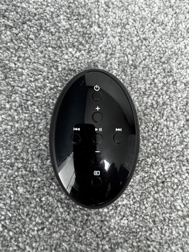 Zeppelin remote control - b&w,
