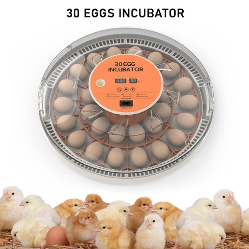 Egg incubator digital - 30,