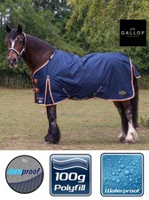 100g TURNOUT HORSE RUG Lite