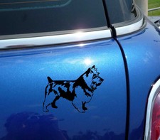 DETAILED AUSTRALIAN TERRIER