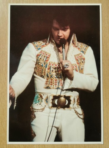 Elvis presley postcard 1977 - elvis,