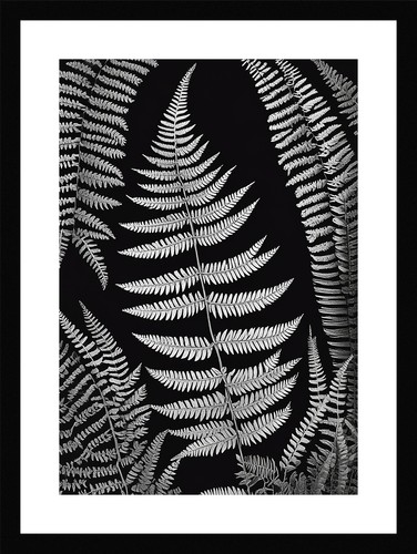 Sophisticated fern fronds - fern,