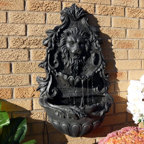 Lion head inch - head, 30-inch