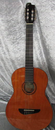 Eko primo series acoustic - series,