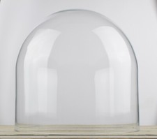 Large Glass Dome Display