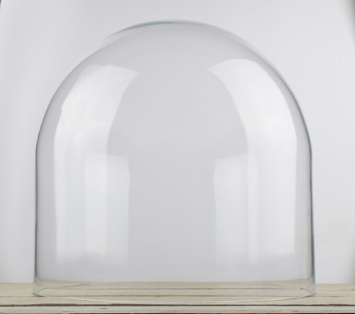 Large glass dome display - large,