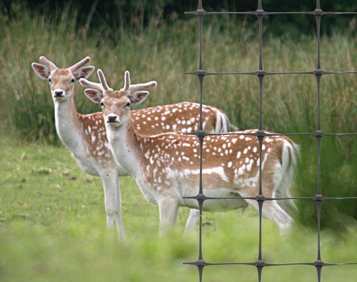 Deer fencing mesh livestock - fencing,