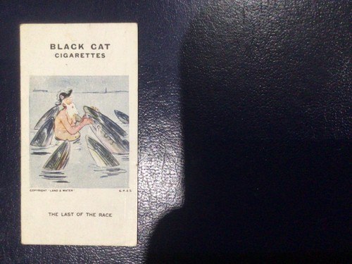 Carrera black cat cigarette - cat,