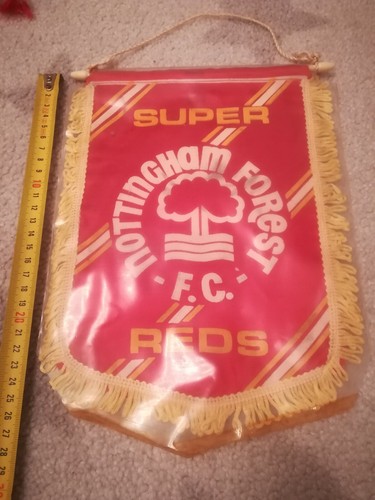 Nottingham forest football - nottingham,