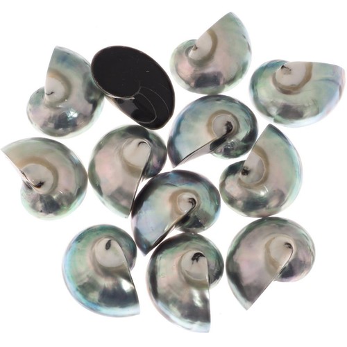 Genuine reverse komma blue - komma,