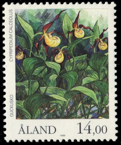 Aland islands lady - aland, lady's