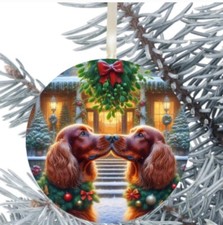 Red Setter Dog Gift Present Decoration Bauble Hanging Christmas Birthday 