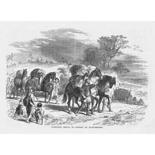 Carrying Bread to London on