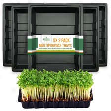 10pk Full Size Large Plastic