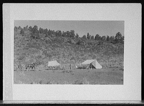 Carriage wagon and tent - [carriage,,