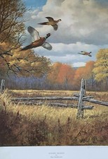 KEN SMALLWOOD - Autumn Meadow